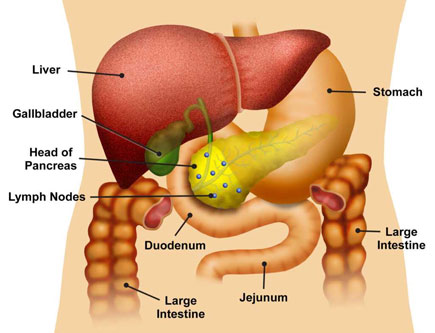 Diagnosis of cancers of esophagus, pancreas and Intestine