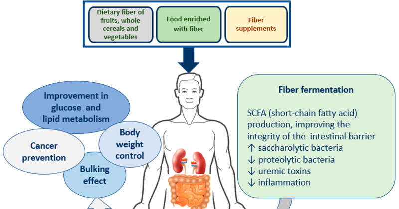 Achieving an adequate dietary fibre intake